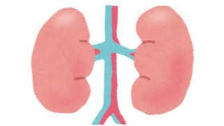 急性腎障害（Acute kidney injury：AKI）